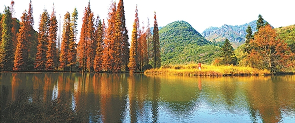 陽(yáng)山縣杜步鎮(zhèn)東山村：秋葉