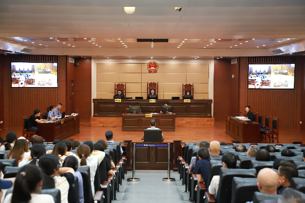 “零距離”警示教育，“沉浸式”以案普法——清遠(yuǎn)市普法辦 清遠(yuǎn)市中級人民法院聯(lián)合開展2025年清遠(yuǎn)市領(lǐng)導(dǎo)干部旁聽庭審活動